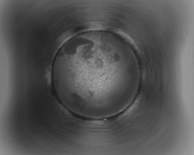 X0000099951409200805301227