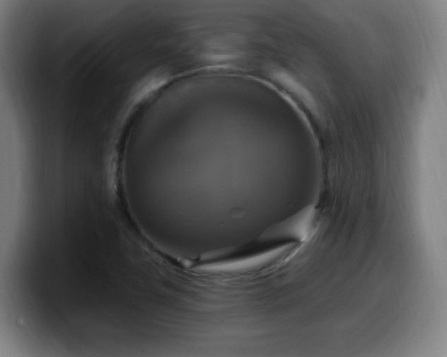 X0000099951411200805301227
