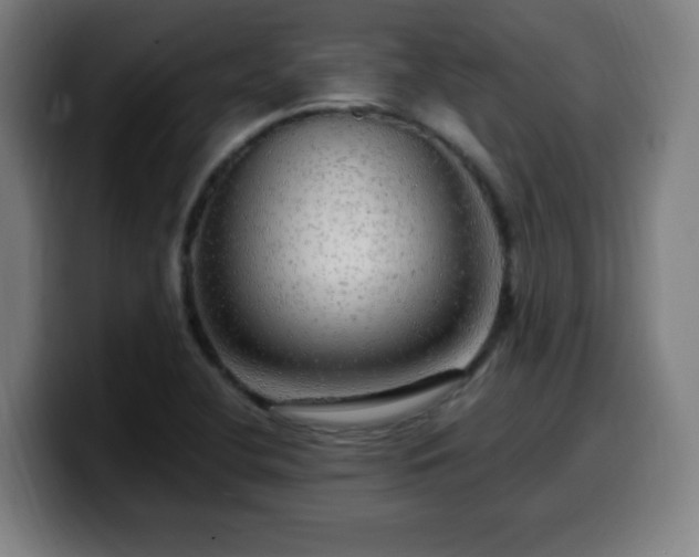 X0000099951412200805301227
