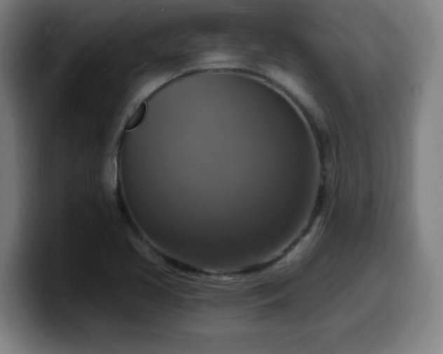 X0000099951413200805301228