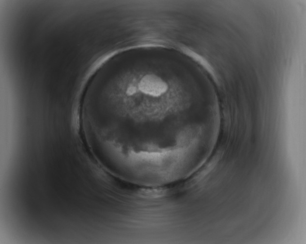 X0000099951415200805301228