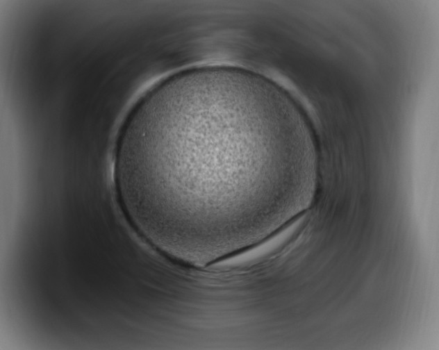 X0000099951416200805301228