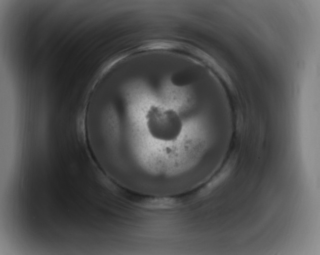 X0000099951417200805301228