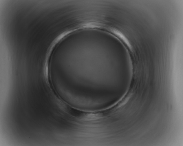X0000099951419200805301228
