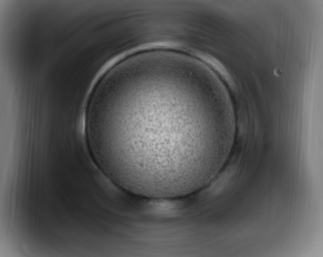 X0000099951420200805301228