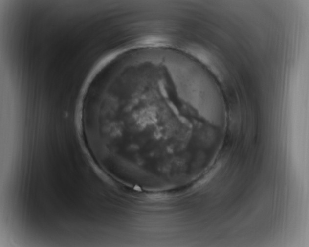 X0000099951421200805301228