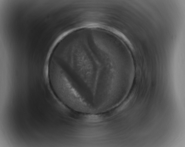 X0000099951424200805301228