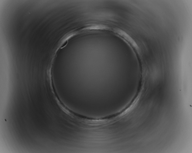 X0000099951425200805301228