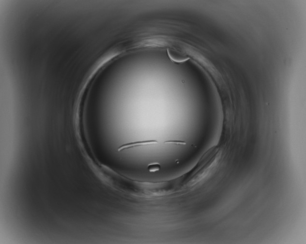X0000099951426200805301228
