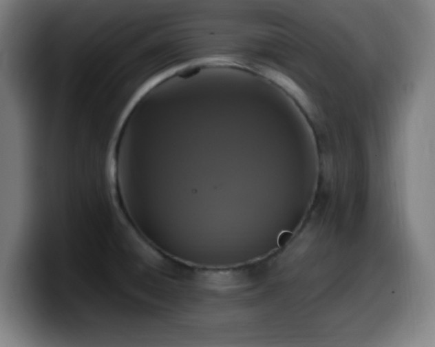 X0000099951428200805301228