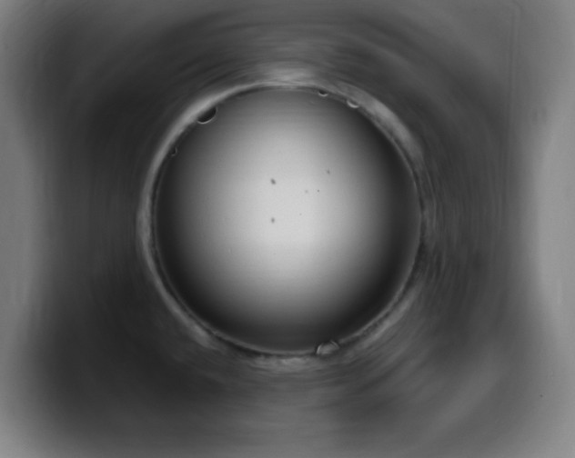 X0000099951432200805301228
