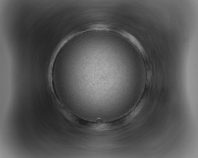 X0000099951435200805301228