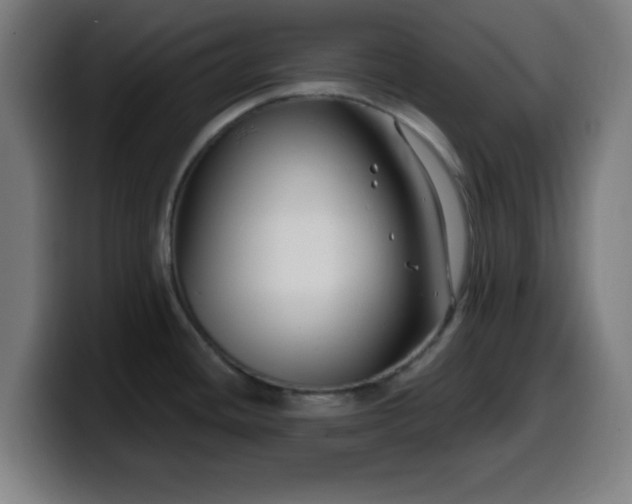 X0000099951436200805301228