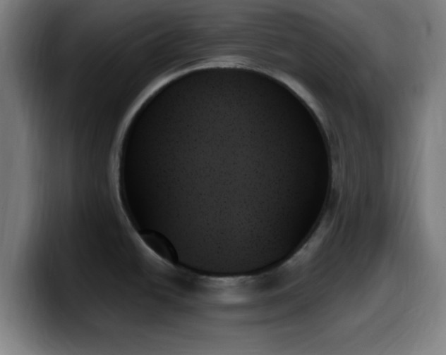 X0000099951438200805301228