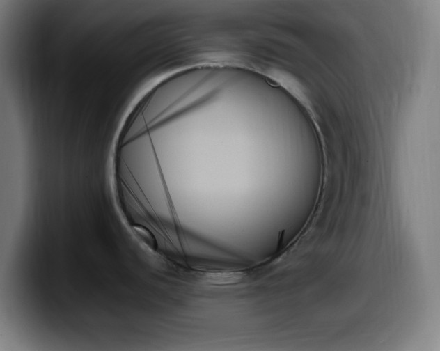 X0000099951440200805301228