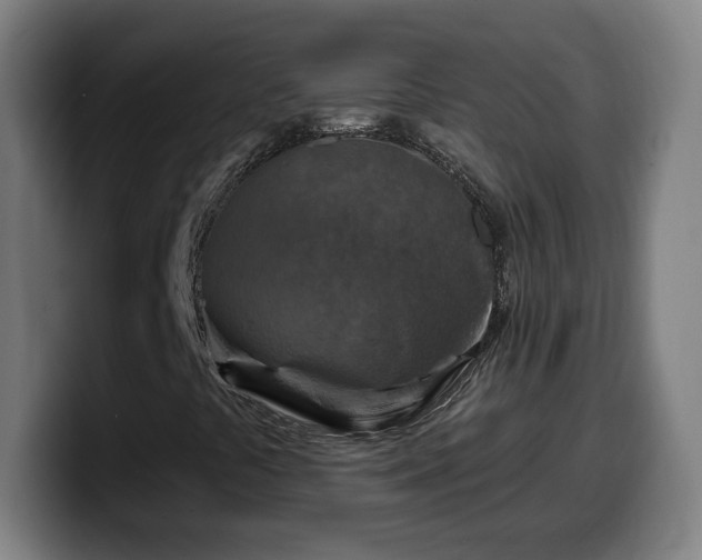X0000099951441200805301227