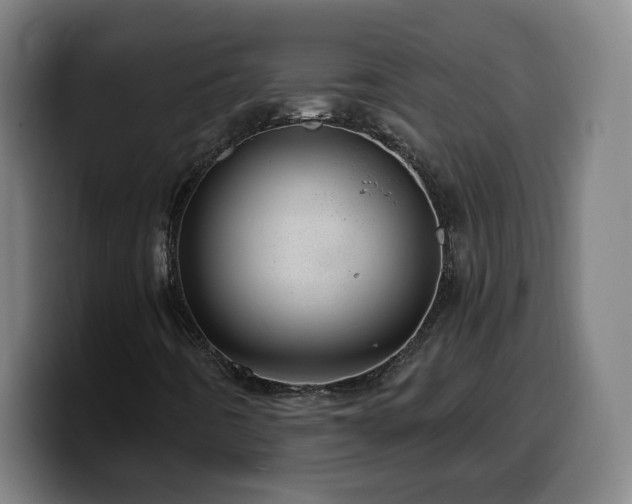X0000099951442200805301227