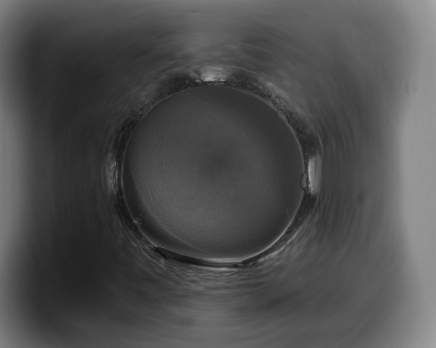 X0000099951443200805301227