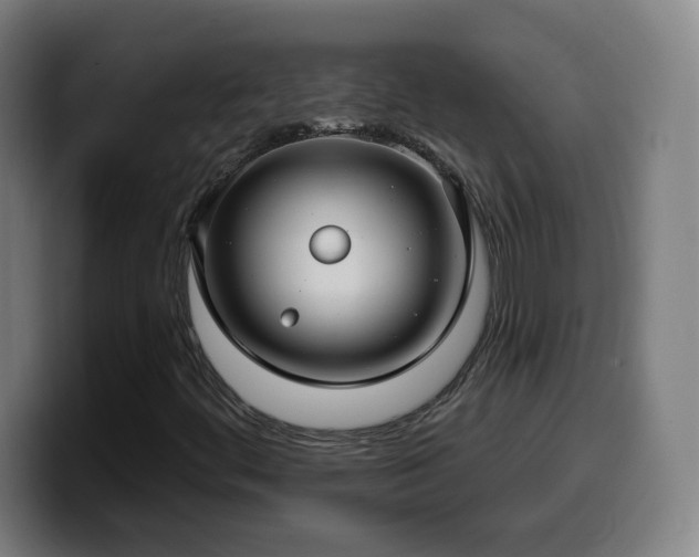 X0000099951444200805301227