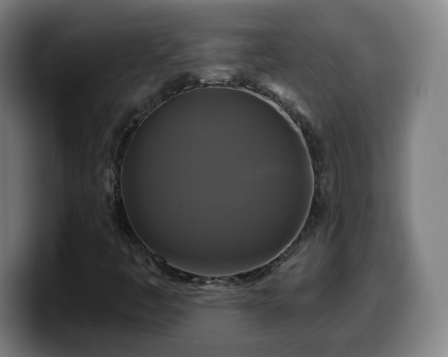 X0000099951445200805301227