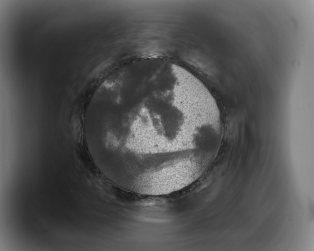 X0000099951446200805301227