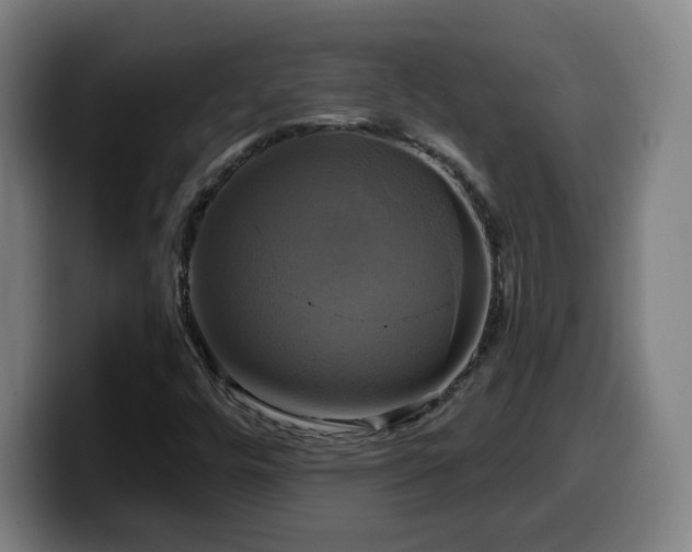 X0000099951448200805301227