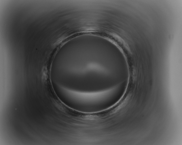 X0000099951449200805301227