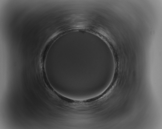 X0000099951450200805301227