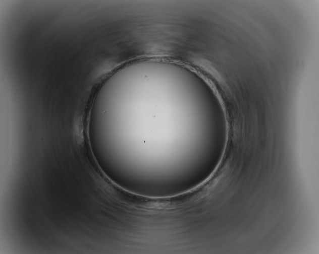 X0000099951451200805301227