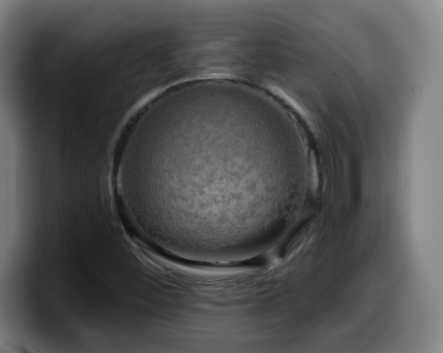 X0000099951452200805301227
