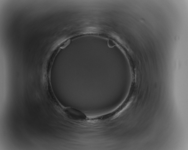 X0000099951453200805301227
