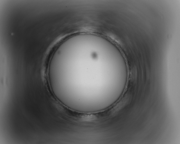 X0000099951454200805301227