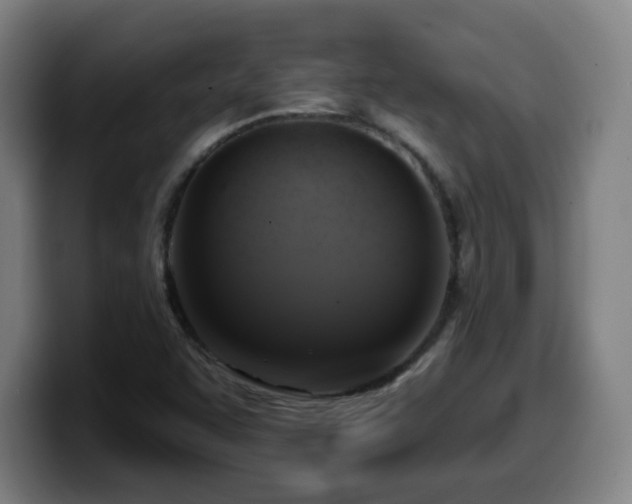 X0000099951455200805301227