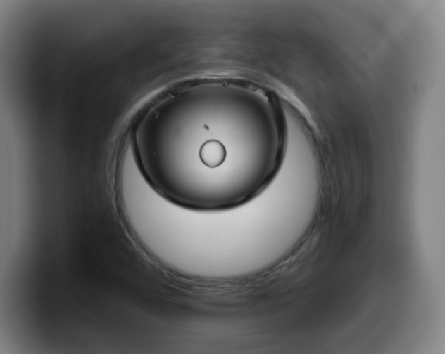 X0000099951456200805301227