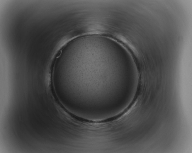 X0000099951459200805301227