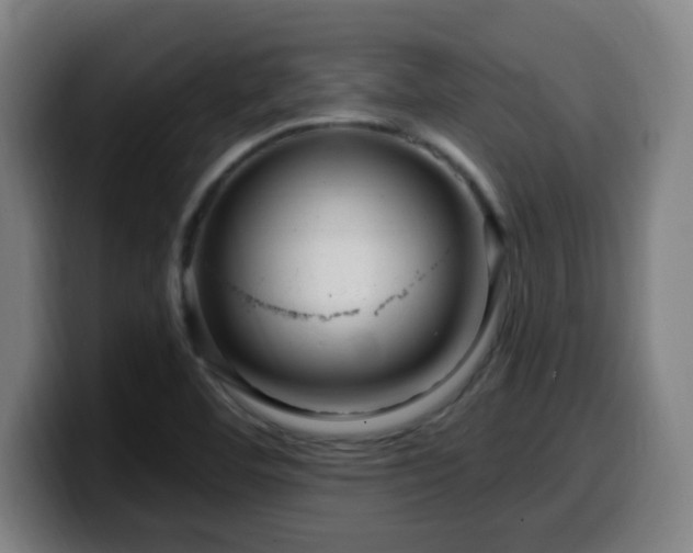 X0000099951460200805301227