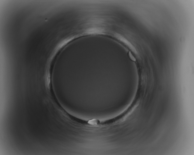 X0000099951461200805301227