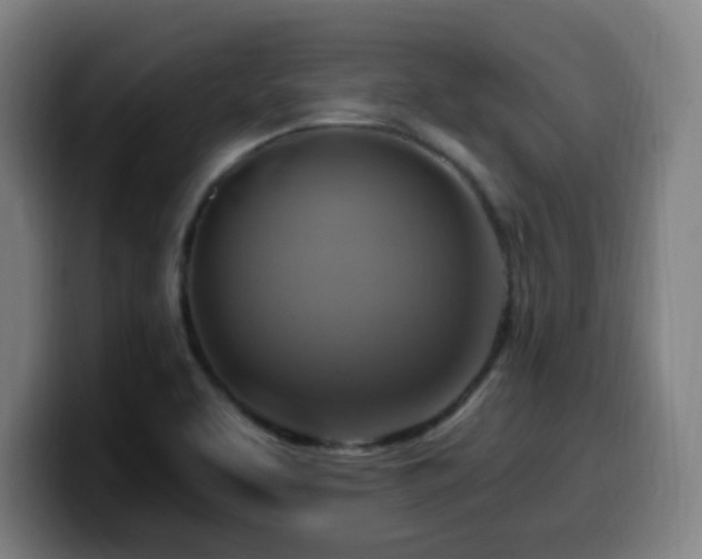 X0000099951463200805301227