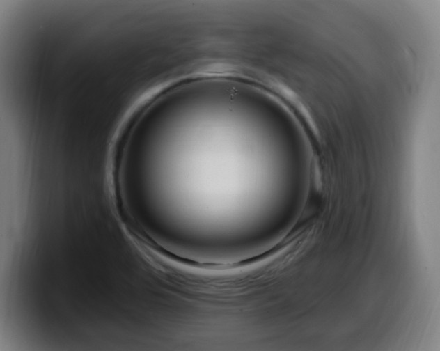 X0000099951464200805301227