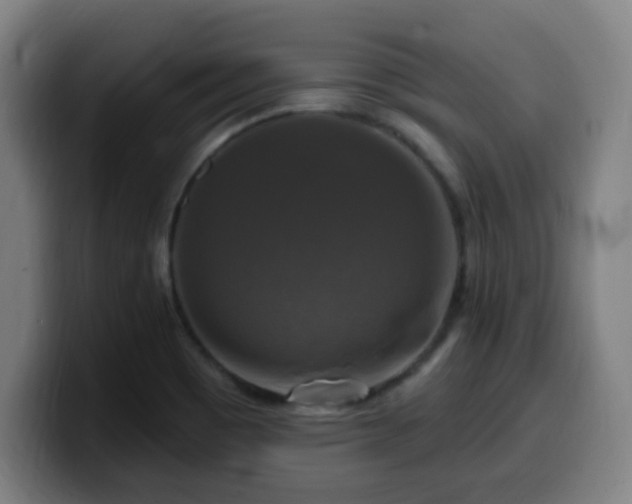 X0000099951465200805301227