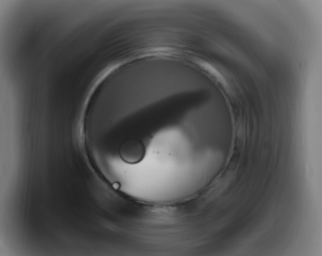 X0000099951466200805301227