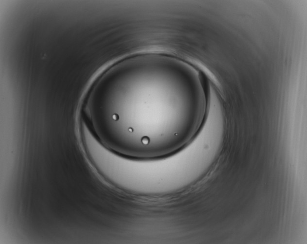 X0000099951468200805301227