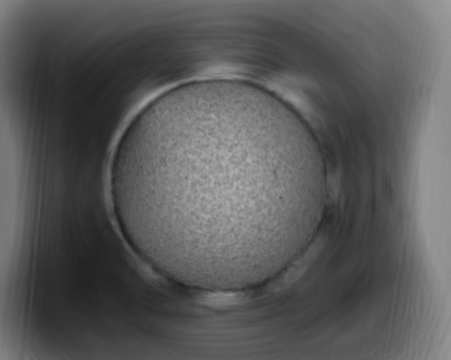 X0000099951470200805301227