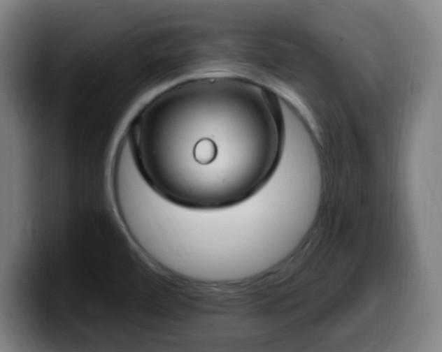 X0000099951472200805301227