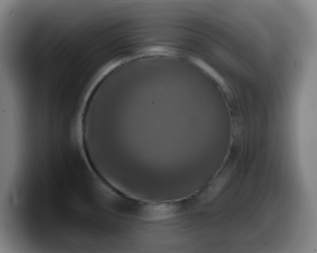 X0000099951474200805301227