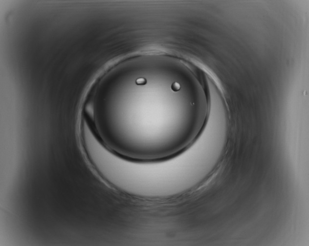 X0000099951477200805301227