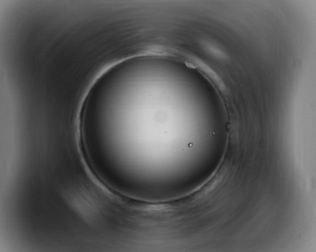 X0000099951479200805301227