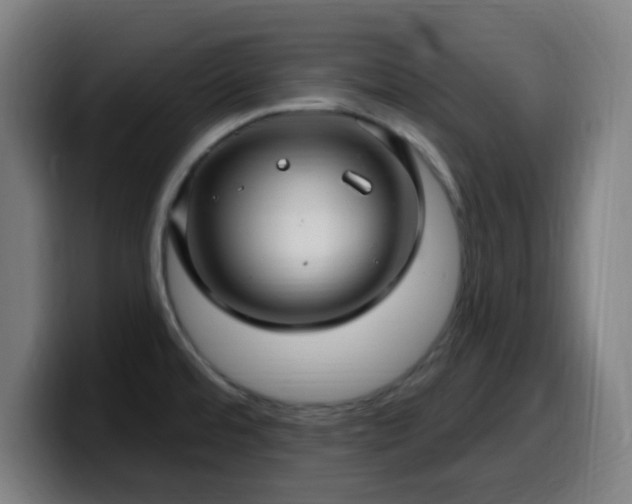 X0000099951480200805301227