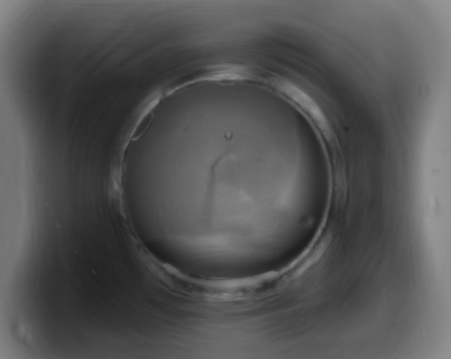 X0000099951481200805301227