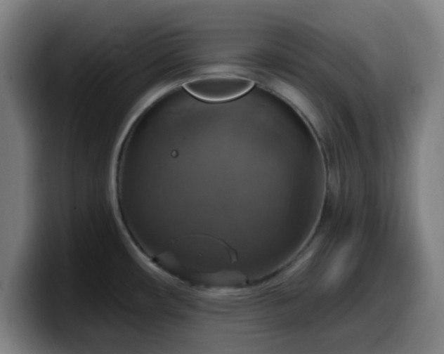 X0000099951482200805301227